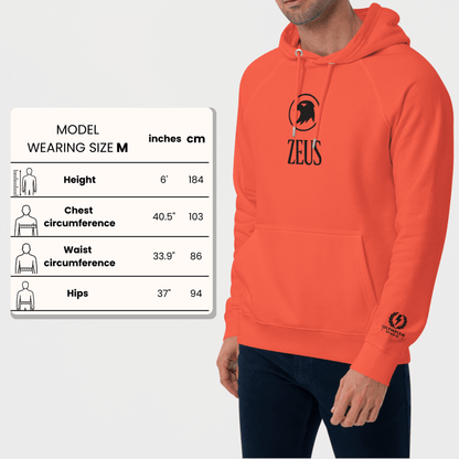 Zeus Eagle Hoodie – Embroidered Front Design – premium Greek mythology streetwear by Olympian Studio